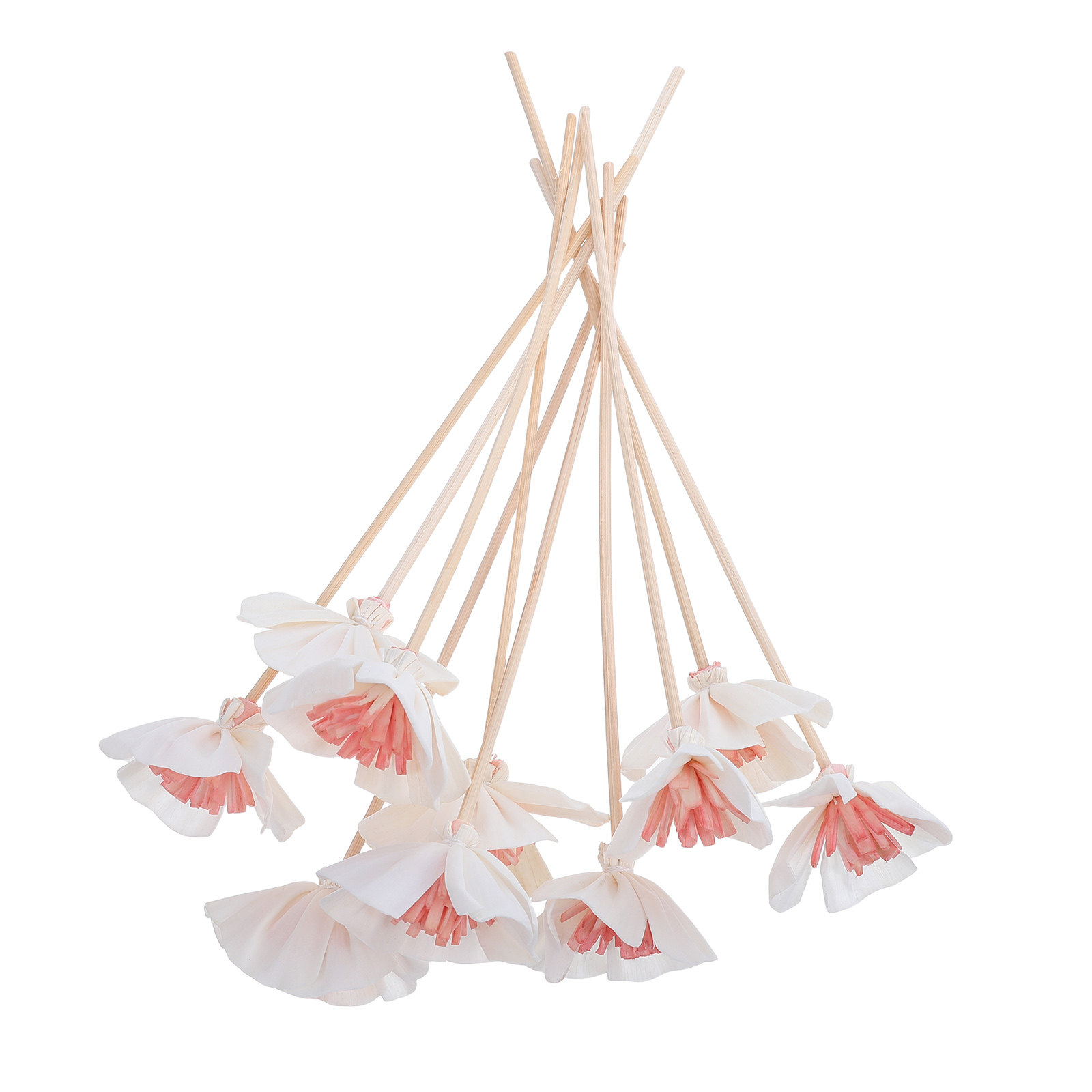 Home Fragrance With Essential Oils - 10 bâtonnets diffuseurs d'huiles essentielles noirs