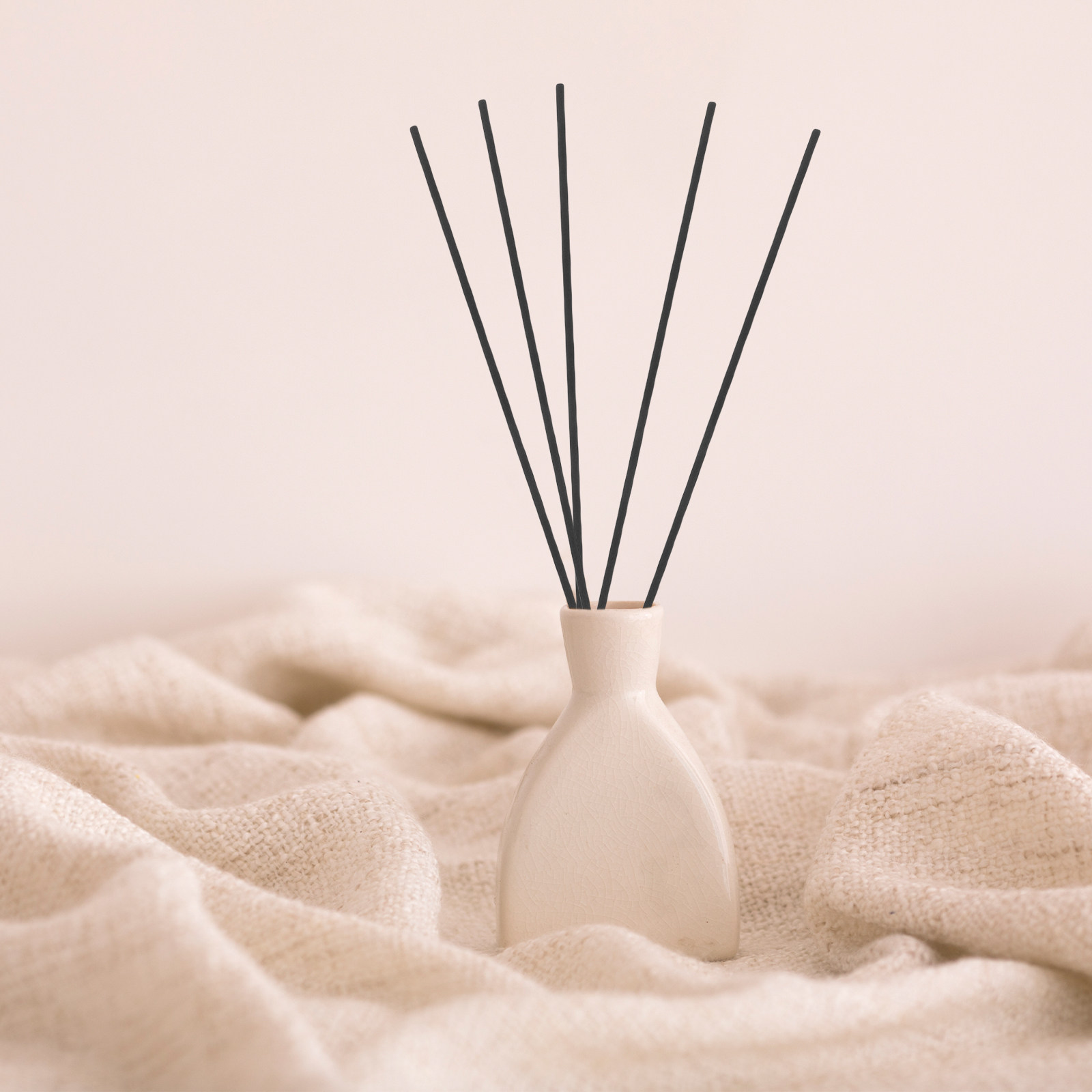 Home Fragrance With Essential Oils - 100 bâtonnets diffuseurs en fibre noirs