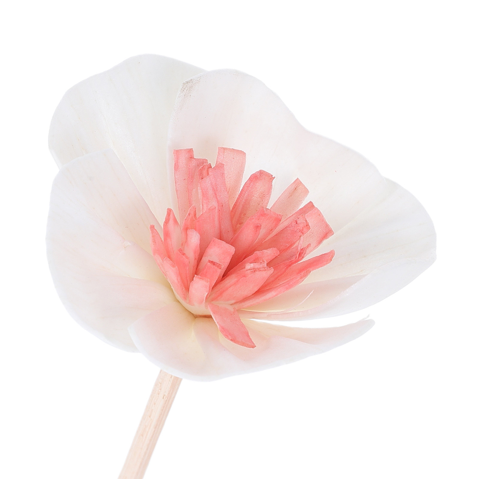 10 bâtonnets diffuseurs d'huil - Home Fragrance With Essential Oils avis et prix